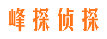 松山婚外情调查取证